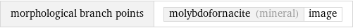 morphological branch points | molybdofornacite (mineral) | image