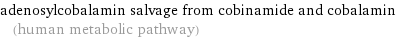 adenosylcobalamin salvage from cobinamide and cobalamin (human metabolic pathway)