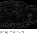  (using radius=2)